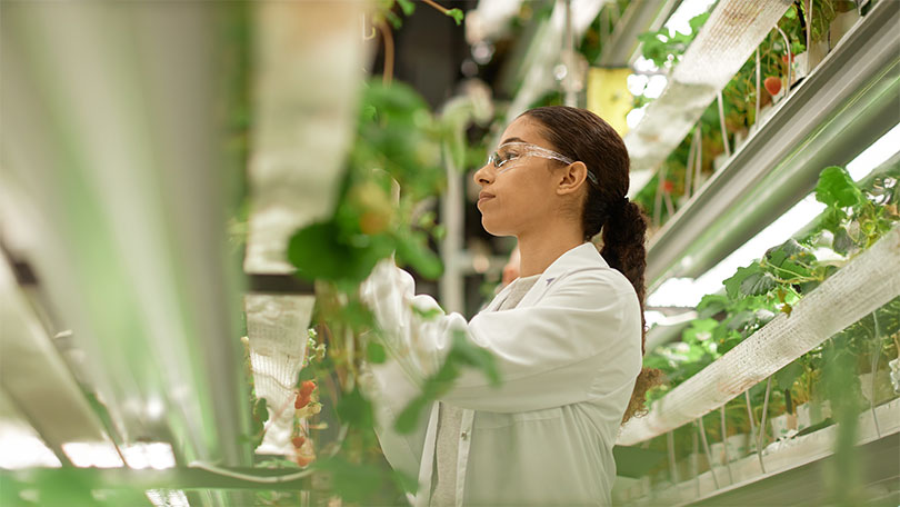 Food Science im Fokus: Sicherheit & neue Ernährungstrends