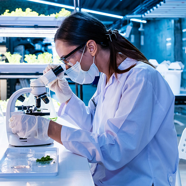 Eine Laborfachkraft untersucht Proben unter dem Mikroskop und sorgt mit pr&auml;ziser Analyse f&uuml;r verl&auml;ssliche Forschungsergebnisse.